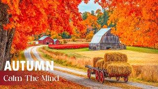 Last Autumn Melodies in October Calm Your Mind And Feel The Stress Melt Away ~ Peaceful Music