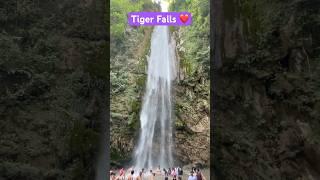 Highest waterfall ️  In Uttrakhand | Tiger Falls  #shorts #trending #youtubeshorts #shortvideo