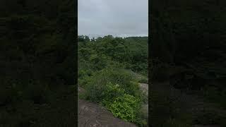 Hussain vs Wild