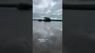 Movimientos Chernozem "Tajamar Los Nietitos" #campo #soriano #mercedes #uruguay