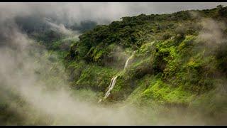 नीलगिरि पर्वत श्रृंखला। [Asiatic Wild Dogs or 'dholes' Life in Western Ghats]—Hindi Documentary—EP#1