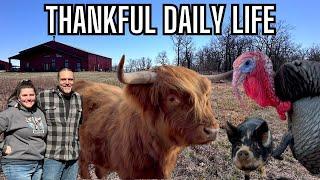 Turkey Day Edition: Daily Life on the Ranch, Feeding, Watering, and Treating Our Farm Animals 