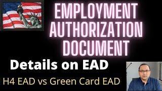 Employment Authorization Card EAD - H4 EAD vs Green Card EAD vs Other EAD