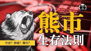 熊市生存指南：如何在股市低迷期保持盈利？ | 老貓與指標