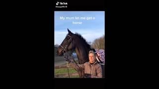 HORSE TIK TOK COMPILATION