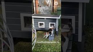 уличный домик для кошек "Барс". Теплый зимний домик для кошек с подогревом