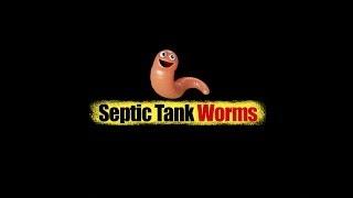 Septic System