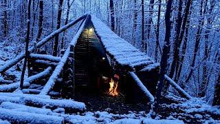 3 Days Bushcraft Winter Camping at Primitive Survival Shelter with my Dog, Nature Movie, DIY, ASMR