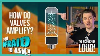 How Do Valves Amplify? | 60 Second TATA #shorts