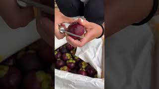 Beautiful Nature - Inspur Fresh Fruit wonderful video of Industry #9166