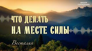 Что делать на местах силы #Весталия #школаСорадение