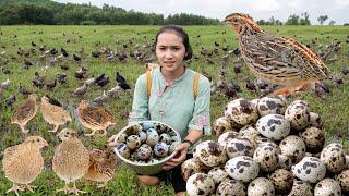 Harvesting QUAIL EGGS, Harvesting GOOSE EGGS...Goes To The Market Sell | Phương Farm Life