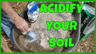 How to Make Blueberry Soil