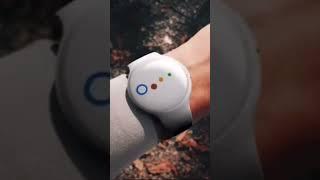 GOOGLE PIXEL WATCH LEAKED