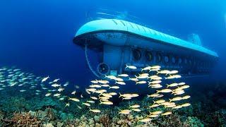 Atlantis Submarine Adventure in Oahu, Hawaii