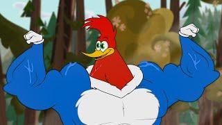 Wacky Workout Wish | 1 Hour of Woody Woodpecker Full Episodes