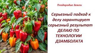 Шикарный результат с первого раза! БАРМАТУХА в Солнцегорске №83/24