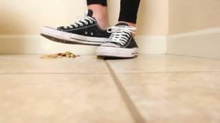 Black Low Converse Crush Apple