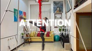 ATTENTION- The Weeknd Aerial Hammock Choreography | The Aerial Besties