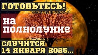 ЧТО СЛУЧИТСЯ на ПОЛНОЛУНИЕ 14 января 2025, во время ВОЛЧЬЕЙ ЛУНЫ. ЧЕМ ОПАСНО для ВСЕХ