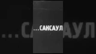 Как сдавали саксаул - топливо в Средней Азии  1929 год. #shorts  #киножурнал  #турксиб  #arhive