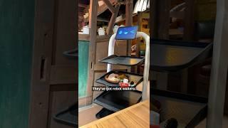 Welcome to Japan’s craziest restaurant