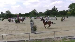 Wallach Braun Werner 2