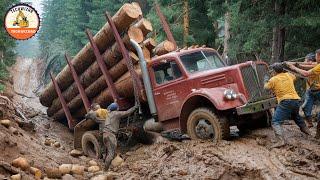 Terrifying Risks: Off-Road Trucks That Have No Chance of Failure and Dramatic Rescues #73