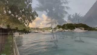 Windy & Cold Day in Tropical Koror, Palau | Sola Vita #travel #weather #shortvideo