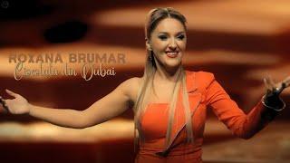 Roxana Brumar - Ciocolată din Dubai (Official Video)