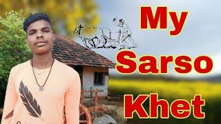 My Sarso Khet My comedy video My khet vlogs My comedy My village vlogs Tansil Shaikh YT