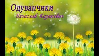 Казакевич - Одуванчики (чит. Пацино)