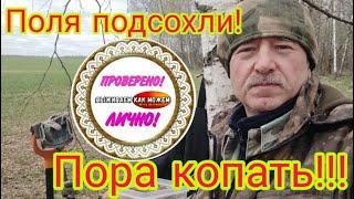 Пора копать!!! Поля подсохли! Серебро поперло!Часть 1.