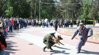 Показательное выступление" Задержание нарушителя Госграницы"