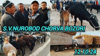 SAMARQAND V NUROBOD SHAHAR CHORVA BOZORIDAN NARXLAR 12.10.24 ELYOR UZ ️ 901998090