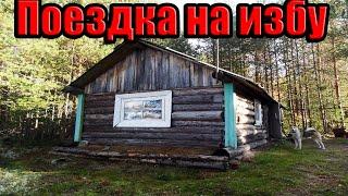  ПОЕЗДКА В ЛЕС НА ИЗБУ/ РЫБАЛКА /ОСЕНЬ 2019