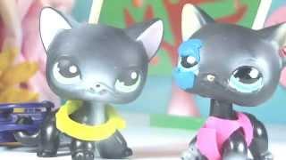  Littlest Pet Shop: Ваня и Саня (1 серия) 