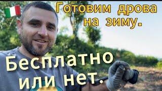Подготовка дров на зиму. Реальная жизнь в итальянском селе.