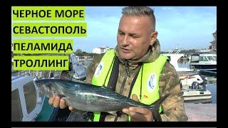 Рыбалка в Черном море. Пеламида. Троллинг. Севастополь