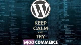 Woorcommerce Advanced Tutorial 2017: change default image placeholder for woocommerce in English