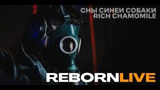 REBOR№1 concert by Musicians.Minsk feat. Rich Chamomile & Сны Синей Собаки. June, 18, 2023, Minsk