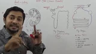 Fahad sir ssc class 9,10 biology chapter 8