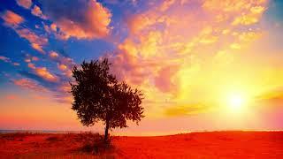 Summer Solstice 2025 Guided Meditation 30 mins - You Are the Sun