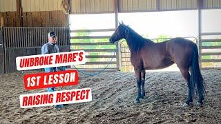 D/C  4-YEAR OLD UNBROKE HORSE HAS FIRST LESSON
