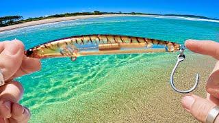 Beach fishing Australia for food