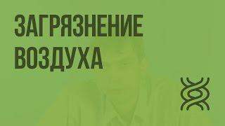 Последствия хозяйственной деятельности человека для окружающей среды. Загрязнение воздуха. Видеоурок