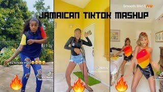 JAMAICAN FAMOUS TIKTOK DANCE MASHUP‼️