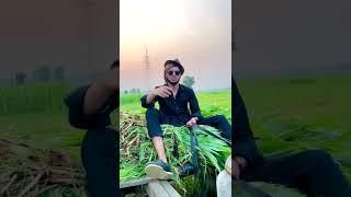 Ali Jutt 900 funny video #shorts #youtubeshorts #subscribe #viral