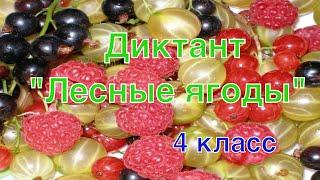 ВПР по русскому языку в 4 классе. Диктант и 2 задания к диктанту. Вариант 6.