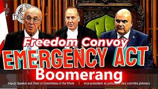 Trudeau Liberals : Hidden Documents from the Freedom Convoy & the Unlawful Use of the Emergency Act